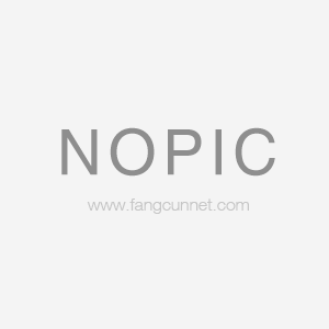 Company Profile